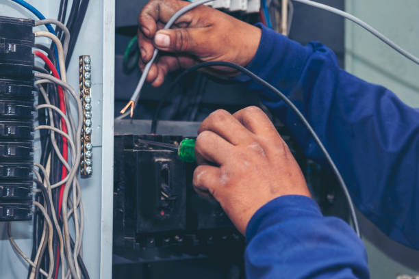 Best Ceiling Fan Installation Electrician  in Park City, TN